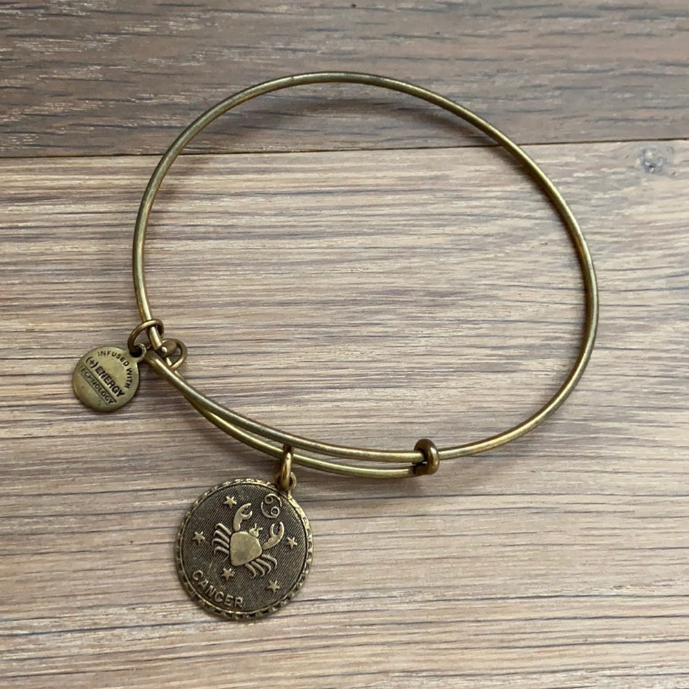 Alex and ani cancer zodiac bracelet